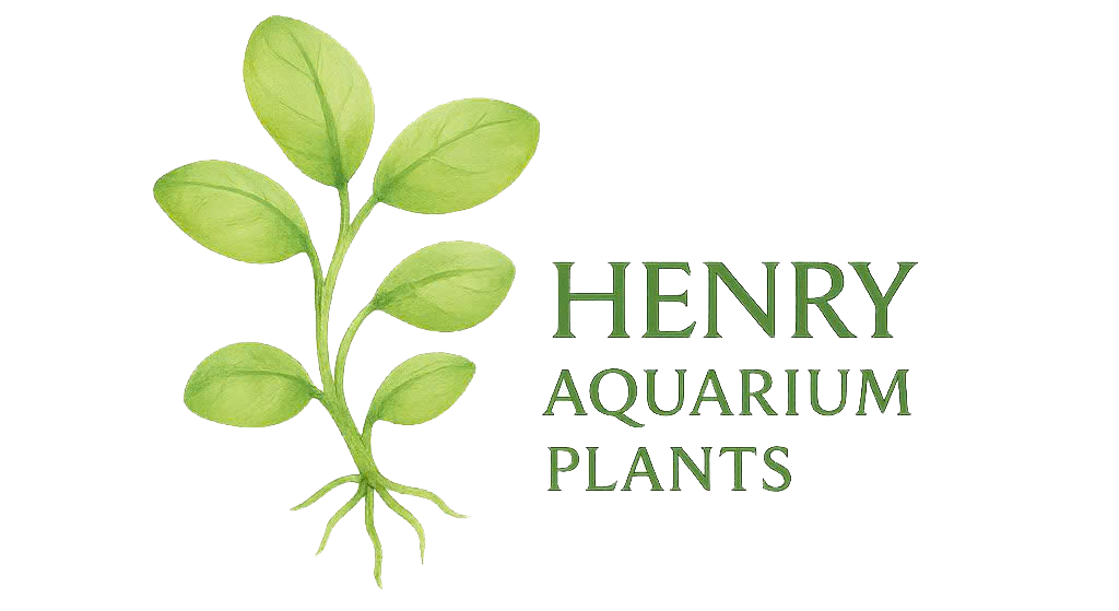 Henry Aquarium